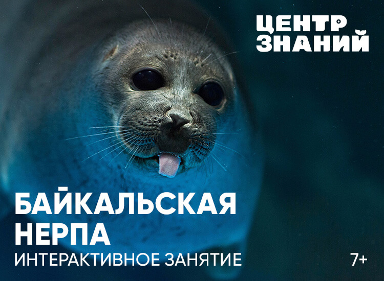 Занятия в Центре знаний Москвариума. Изображение 4