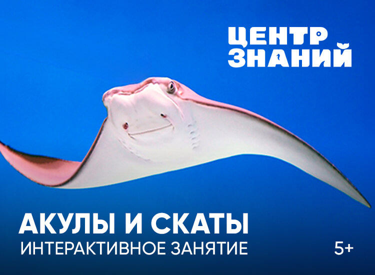 Занятия в Центре знаний Москвариума. Изображение 3