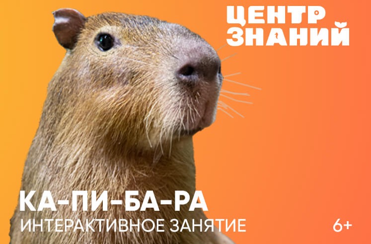 Занятия в Центре знаний Москвариума. Изображение 2