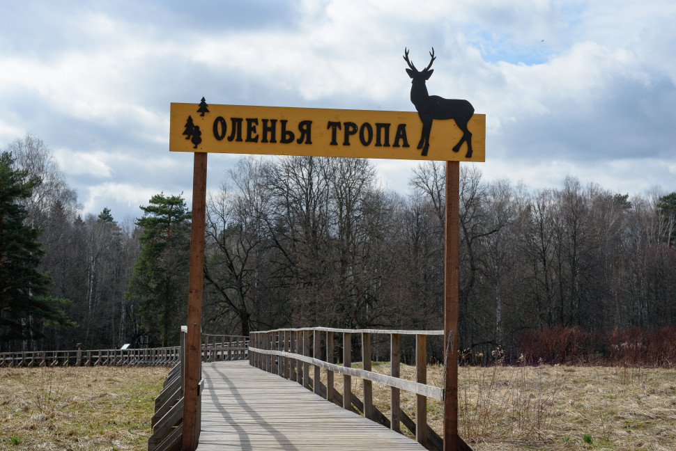 Оленья тропа. Изображение 1